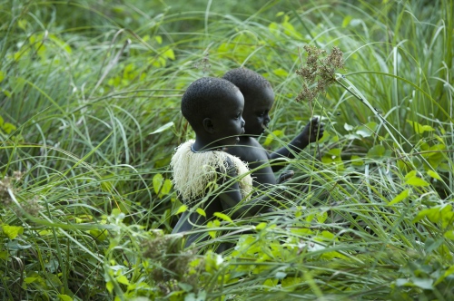 ART PRINTS SHOP - India. Andaman Islands. The Jarawa Chronicles.In the tall grass