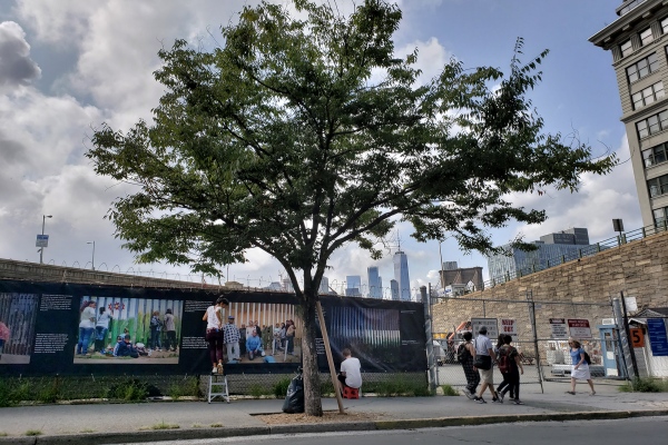 Exhibitions and Events - â€œThe Wallâ€ Photo Fence produced by UPI Â and NYC Parks. Brooklyn, NY. (Aug-Dec 2018)