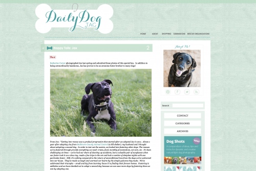 Press - Daily Dog Tag, 2013