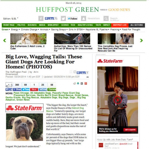 Press - Huffington Post, 2014