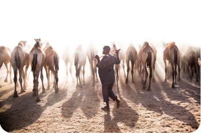 Photography - Somaliland - An Unrecognised Success Story