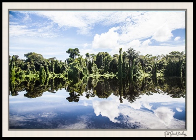Buy Print - Amazon River, Peru