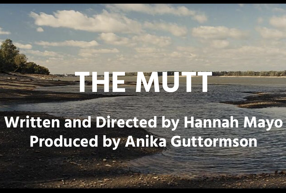  The Mutt  &nbsp;  by Hannah Mayo