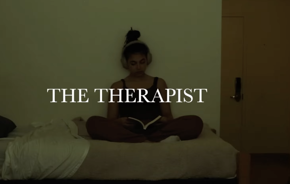   The Therapist    by Anita Neiva