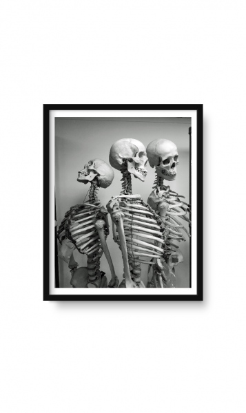  For a limited time, &ldquo;Skeleton Trio, Mutter...