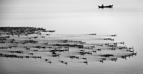 Prints - Calm on the Lake, Myanmar (2014)