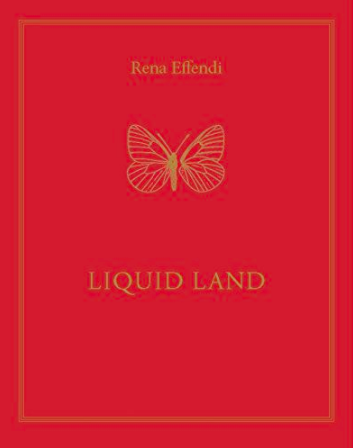 BOOKS / PRINTS - Liquid Land Hardcover â€“ March 15, 2013
