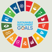      Sustainable Development Goals           The 17...