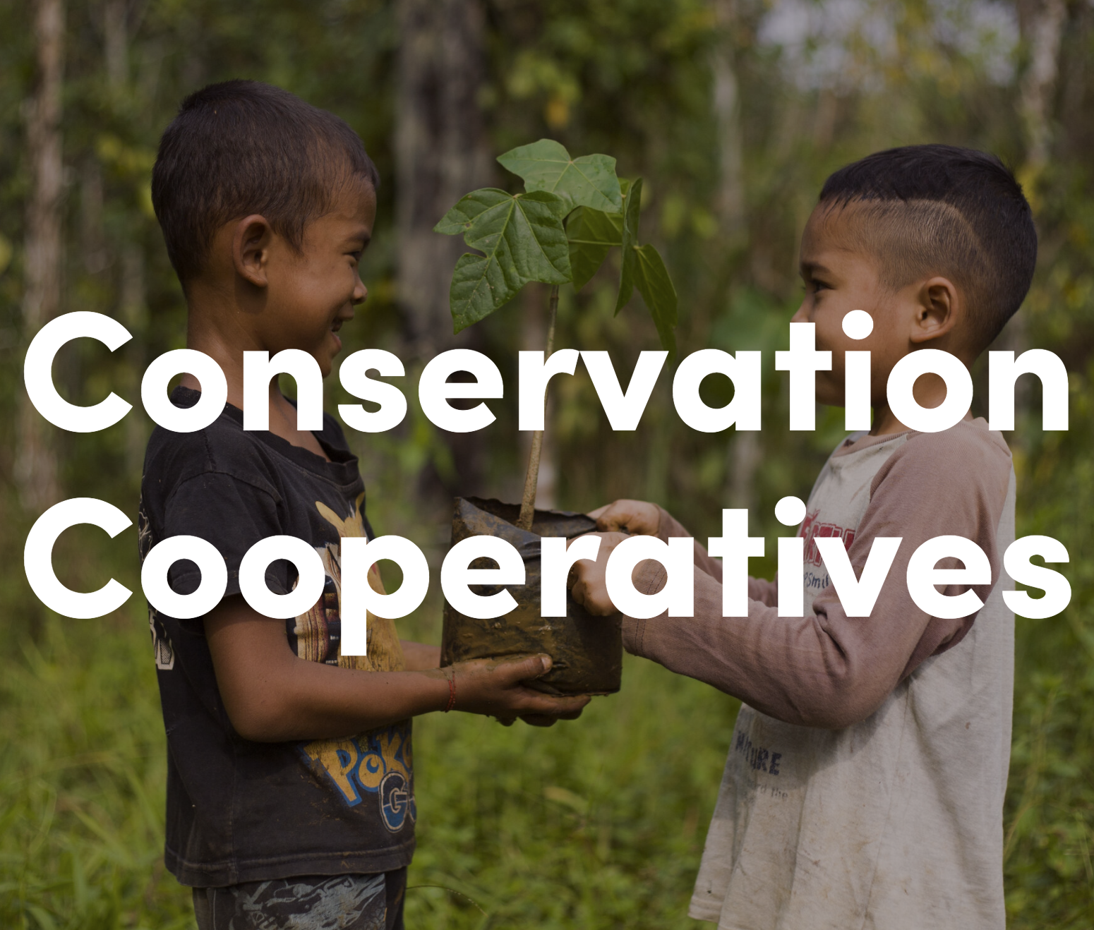       Conservation Cooperativ es          Conservation...