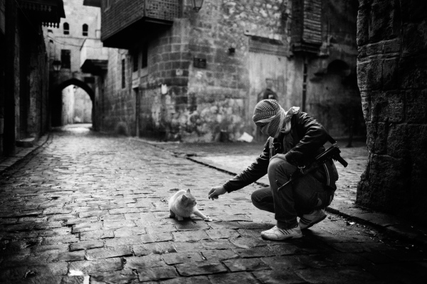 Prints & Posters - An islamist giving food to a cat in old city of Alepo, Syria.