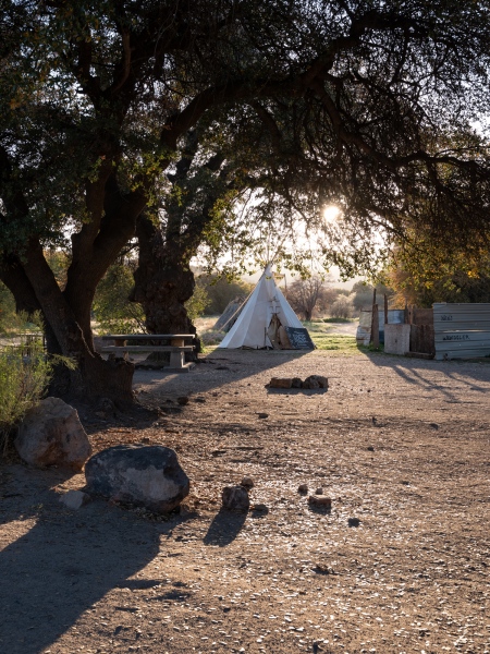I first visited Oak Flat, an Apache sacred site, in...
