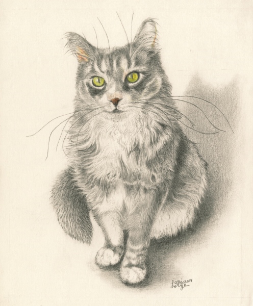 Custom Pet Portraits - Custom Cat Pet Portrait
