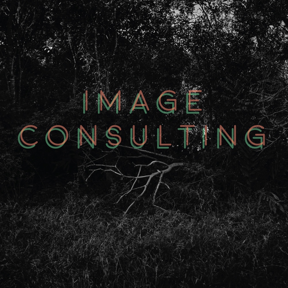 shop - image consulting
