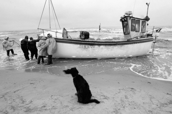 BUY PRINTS - "Fisherman's dog", 2007