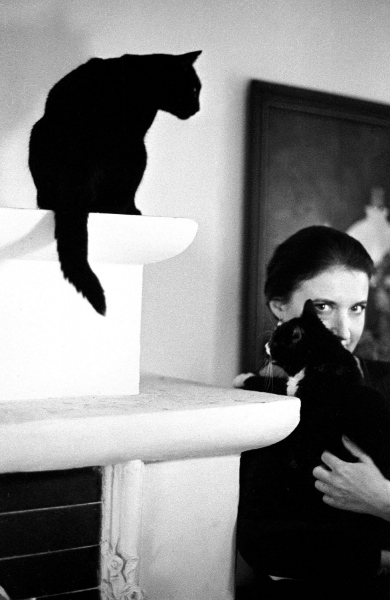 Buy Prints - Katarzyna Lengren with cats, 1995