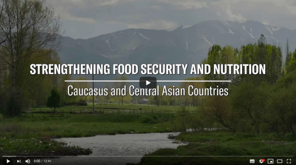    Strenghtening Food Security and Nutrition       For...