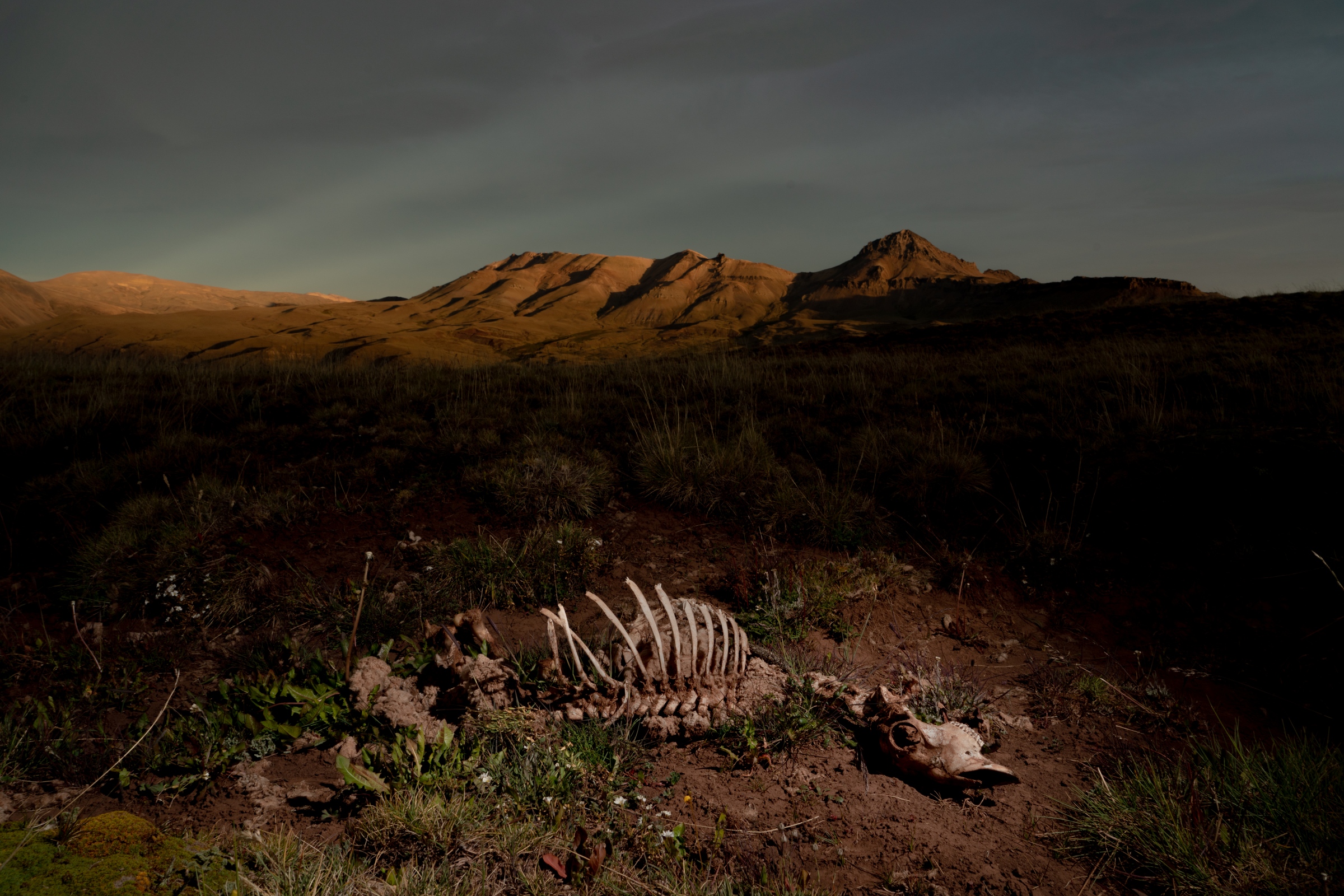 ARMANDO VEGA photographer and visual storyteller