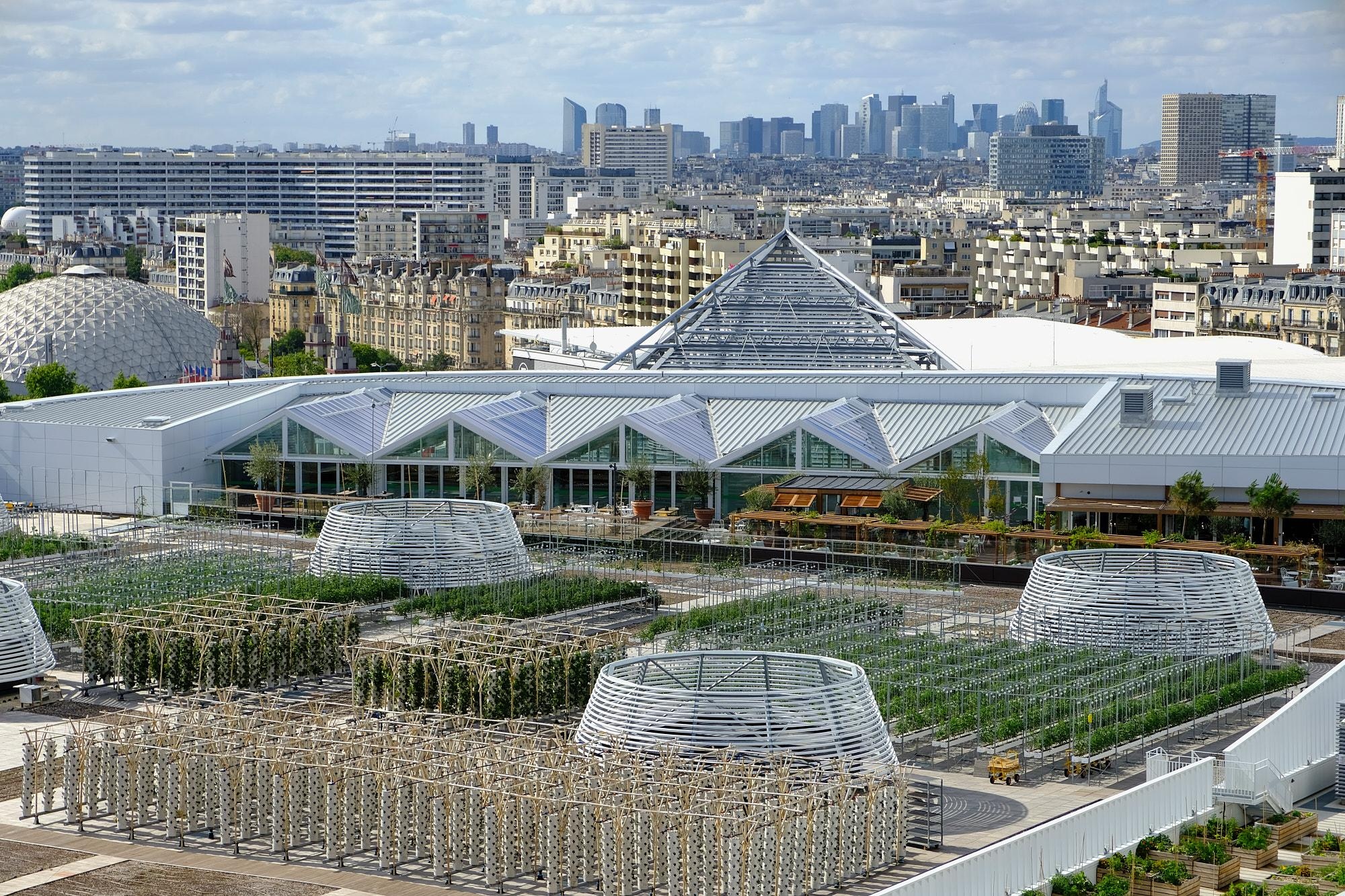 STORIES Remon Haazen photographer