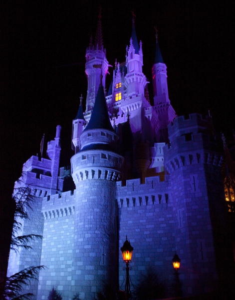 Shop to Purchase - Cinderella's Castle at Night