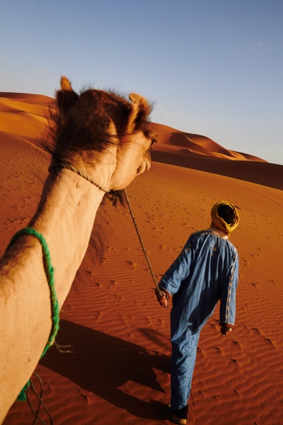 Print Sale - Camel Ride