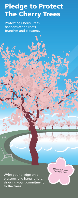 Events Pledge Tree 2025 Cherry Blossom Festival - Hailey Trejo | Visual Communicator ...