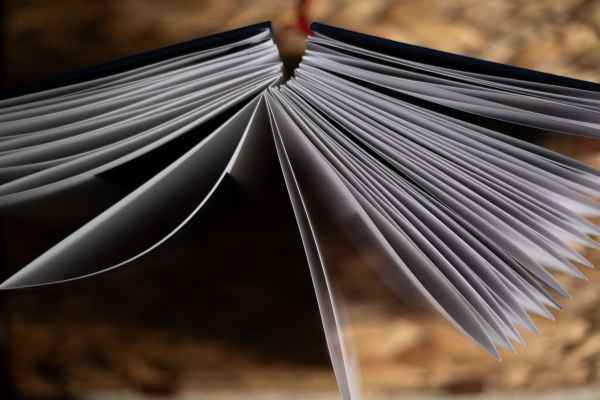 Prints - Where I End, and You Begin Accordion book