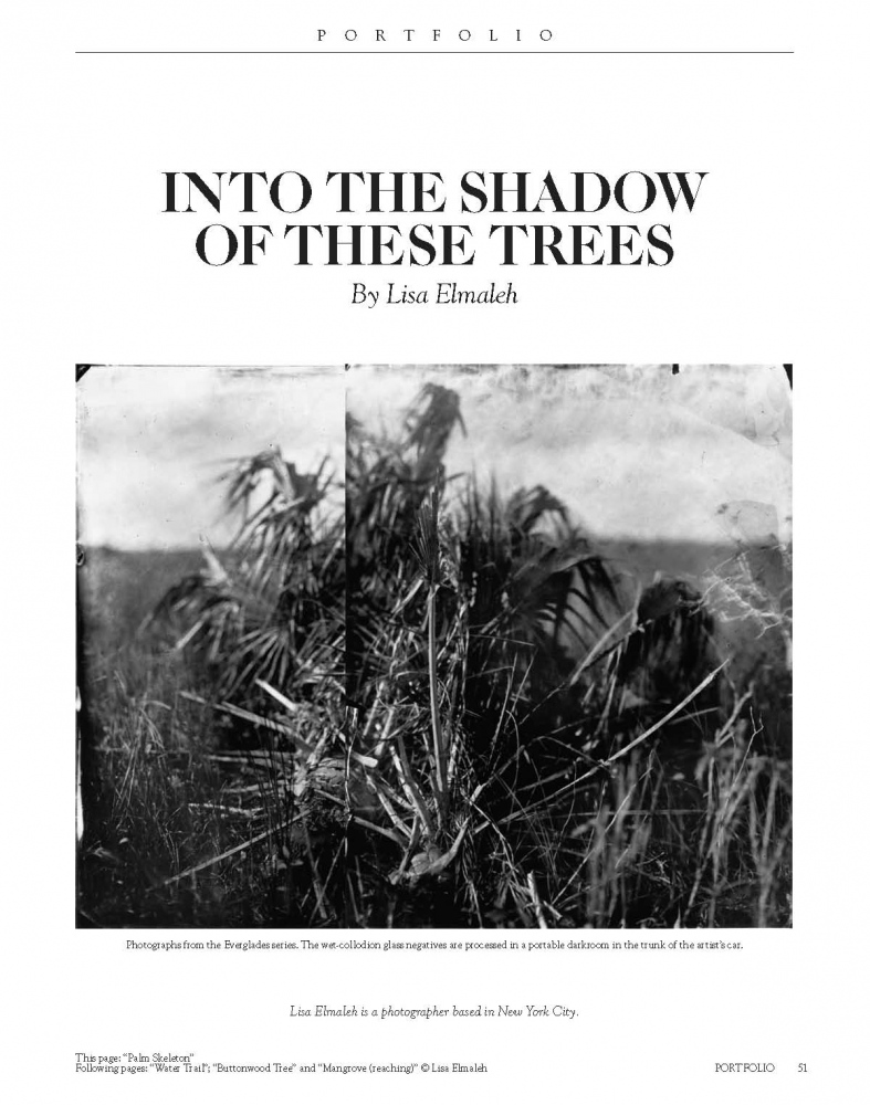 Publications - Harper's Magazine - Portfolio: Into the Shadow of These Trees - May 2011