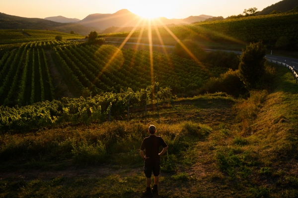 CORPORATE - Ellermann Spiegel Winery