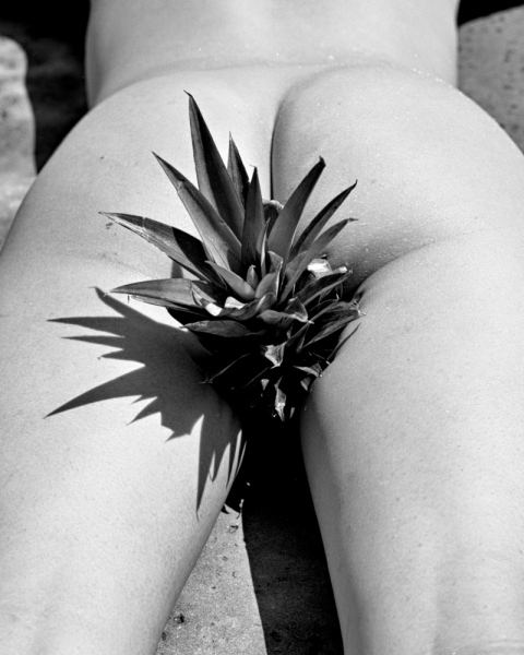 Print Sale - Nudes - Pineapple