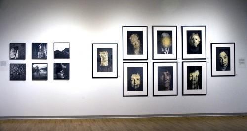 Exhibitions - Hess Gallery, MA